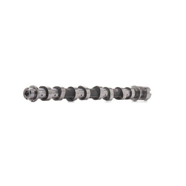 AMC 647198 Ax came Renault Laguna 2 2.0 dCi 150 CP M9R 740