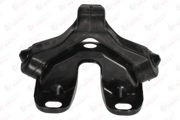 BIRTH 7650 Uitlaat 2.0 FSI 150 Pk BLR