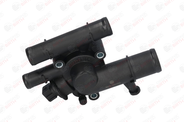 BIRTH 80074 Servoleitung 1.9 dCi 120PS 2005
