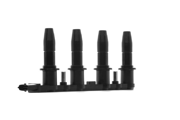 DELPHI CE20009-12B1A Gløderør 1.6 LPG (F08, F48) 103 HK Z 16 XEP