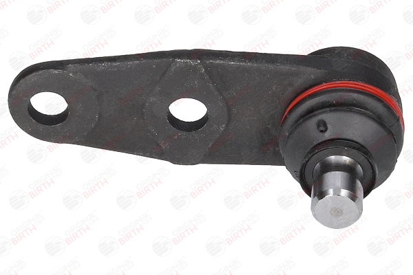 BIRTH CX0107 Rotule de suspension Renault Megane Scenic 1.4 i (JA0E) 75CV 1999