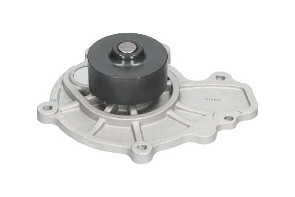 KAVO PARTS DW-1016 Vandpumpe VAUXHALL Antara (L07) 2.0 CDTI 4x4 150 HK Z 20 DMH