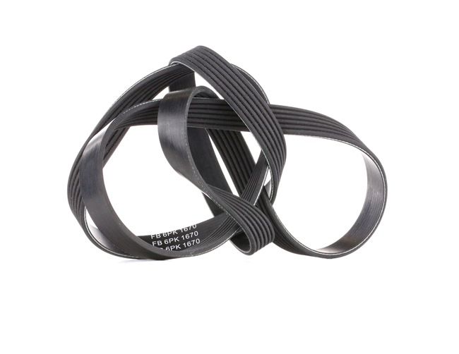 INA FB 6PK1670 Serpentine belt FORD Transit Mk7 Platform / Chassis (V363) 2.2 TDCi 100 hp DRFF