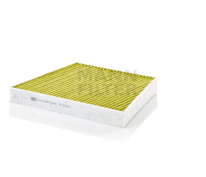 MANN-FILTER FP 3172/1 Innenraumfilter MERCEDES-BENZ E-Klasse Pritsche / Fahrgestell (VF211) E 270 CDI (211.616) 163 PS OM 647.961