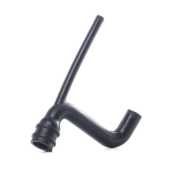 FAST FT61721 Ventil vevhusventilation Lancia Ypsilon 843 1.2 (843.AXA1A) 60 hk 188 A4.000