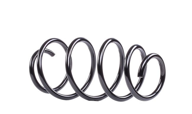 DS KYB Suspension spring RA3419