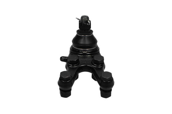 KAVO PARTS SBJ-5507 Silent bloc d'essieu 3.0 V6 141CV 2001
