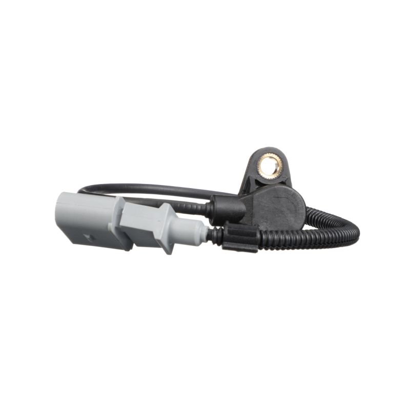 DELPHI SS11065 Krukassensor Passat 3B6 2.8 190 Pk BBG
