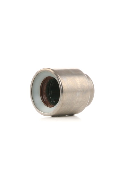 SACHS 1863 869 005 Pilotlager Passat 3B5 2.8 V6 180 PS AGE