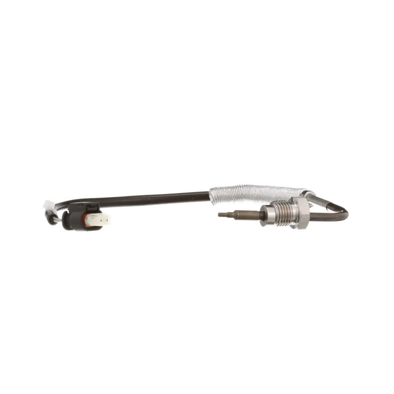 SMART DELPHI Temperature Probe TS30058