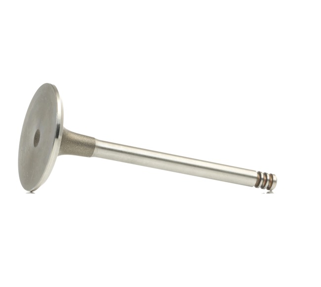 BGA V011131 Soupape d'admission BMW E30 316i 1.6 102CV 1991