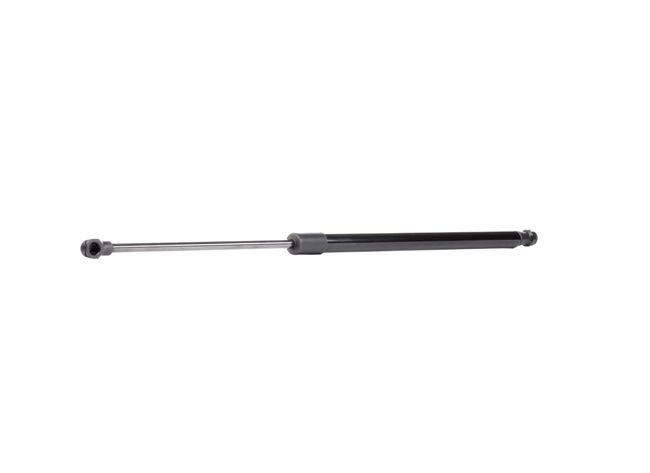RIDEX 219G0729 Amortizor portbagaj RENAULT Modus / Grand Modus (F, JP) 1.6 112 CP K4M 801