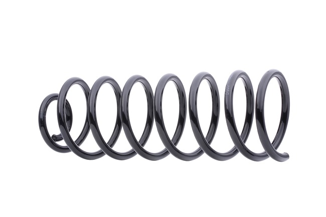 RIDEX 188C0385 Molas de suspensão Seat Toledo 1L 1.9 TD 75 cv AAZ