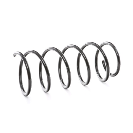 RIDEX 188C0420 Jousi Renault Clio 1 1.2 58 hv E7F 750
