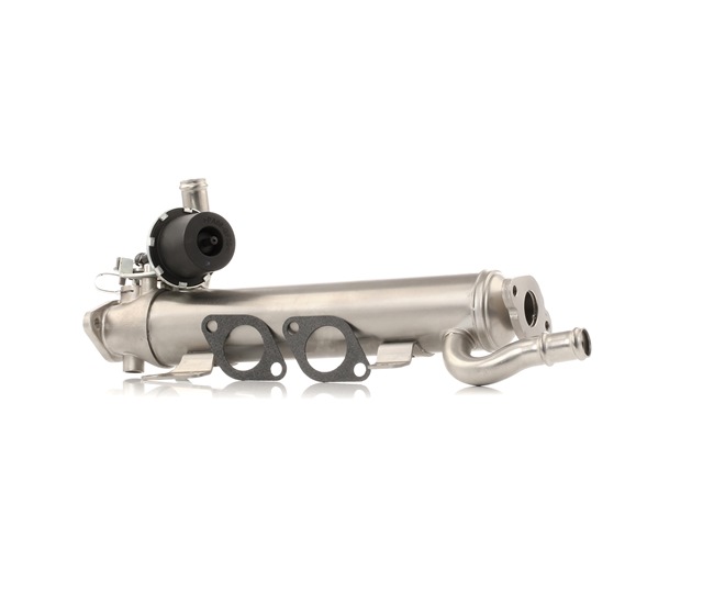 RIDEX 1145E0120 EGR klep Passat B6 Variant 2.0 TDI 110 Pk CBDC