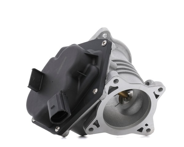 STARK SKEGR-0770146 Uitlaat 2.0 BiTDI 180 Pk CSHA