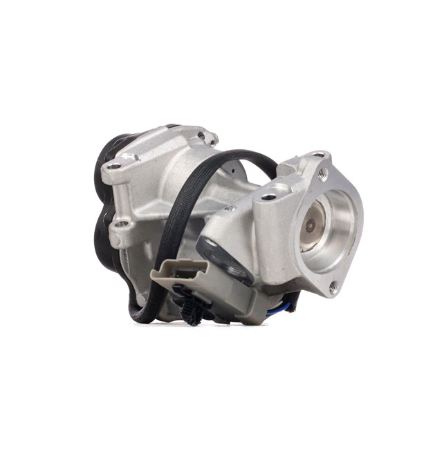 RIDEX 1145E0155 Bakre eksospotte 3.6 D 4x4 272 hk 368DT(LION)