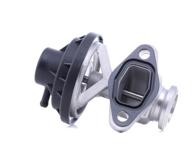 STARK SKEGR-0770155 Filtro de partículas 1.9 SDI 64 cv AYQ