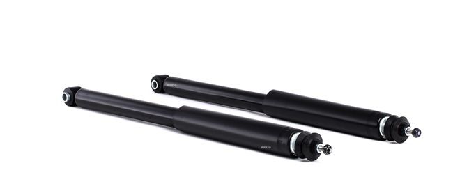 RIDEX 854S2002 Peças para suspensão pneumática 3.6 24V Lotus (F19, M19, N19) 377 cv C 36 GET