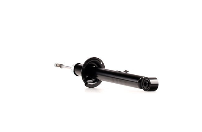 RIDEX 854S2043 Spring kit 250 (GSE30_) 208 hp 4GR-FSE