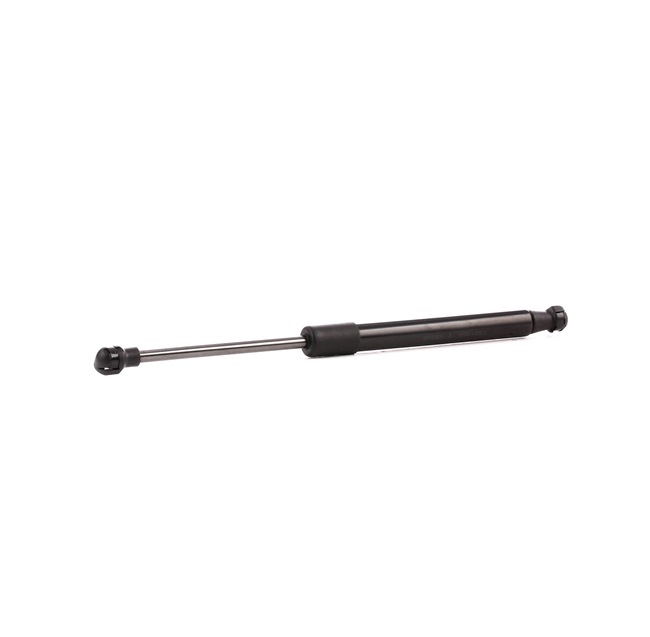 BMW RIDEX Haubendämpfer 514G0064