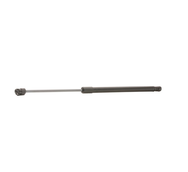 MINI RIDEX Pistoni bagagliaio 219G0835