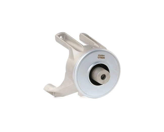 RIDEX 247E0236 Motorlager VW T6 Transporter 2.0 TDI 102 PS CAAB