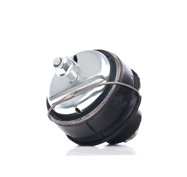 RIDEX 247E0247 Fasce elastiche 2.4 LTP 179 CV B 5244 T4