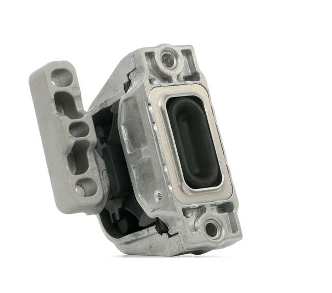 RIDEX 247E0269 Supporto motore VW Passat B6 Variant 2.0 TDI 122 CV BVE
