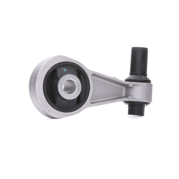 RIDEX 247E0297 Moottorin kumityyny Lancia Ypsilon 843 1.3 D Multijet (843.AXE11, 843.AXE1A) 90 hv 199 A3.000