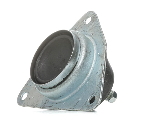 RIDEX 247E0323 Set segmenți 3.0 24V 194 CP L7X 700
