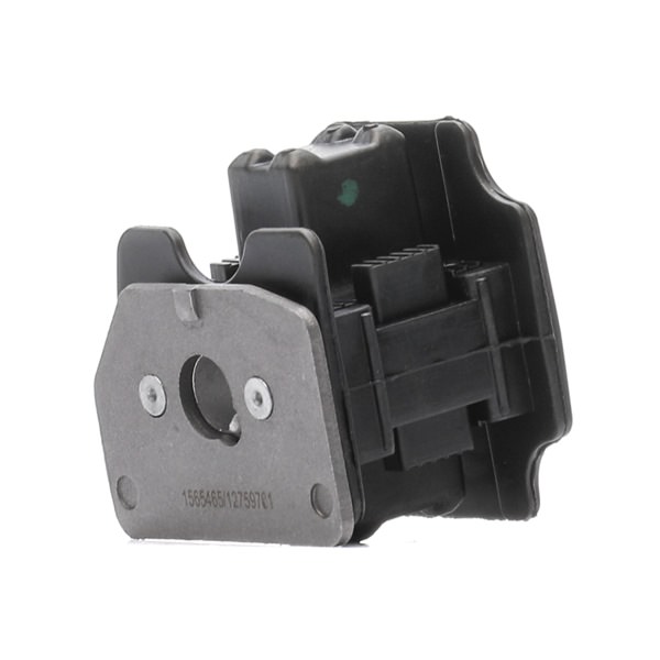 RIDEX 247E0363 Fasce elastiche 2.4 180 CV B 5244 T4