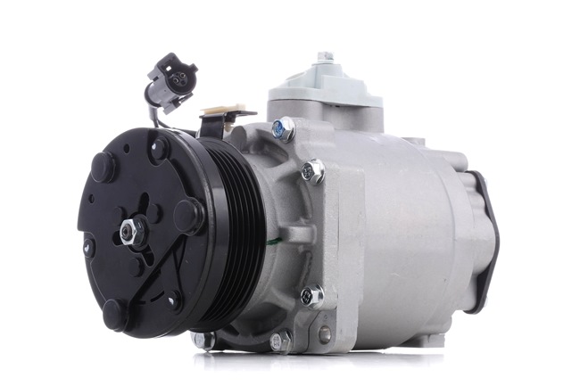RIDEX 447K0266 Klímakompresszor FORD Tourneo Connect Mk1 1.8 TDCi 90 LE HCPB