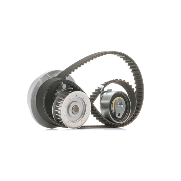 RIDEX 3096W0158 Tensor da correia do alternador 2.0 (F19, M19, N19) 116 cv C 20 NE