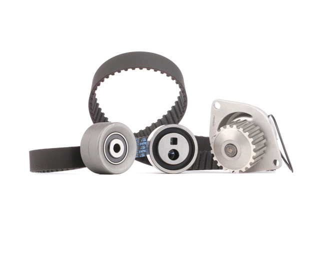 ROVER STARK Jogo de correias dentadas SKWPT-0750205