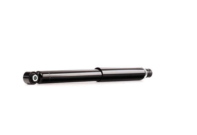 RIDEX 854S2100 Set de suspensie, arcuri elicoidale și amortizoare 3.8 V6 (V87W) 248 CP 6G75