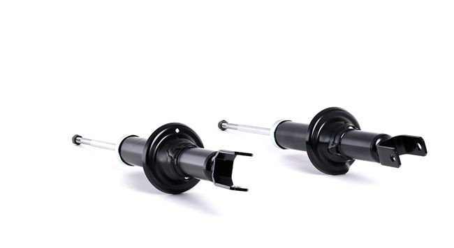 ROVER RIDEX Kit de amortecedores 854S2106