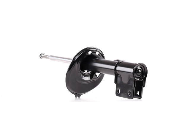 RIDEX 854S2107 Iskunvaimentimet Citroën C4 mk2 1.6 VTi LPG 120 hv 5FS (EP6C)