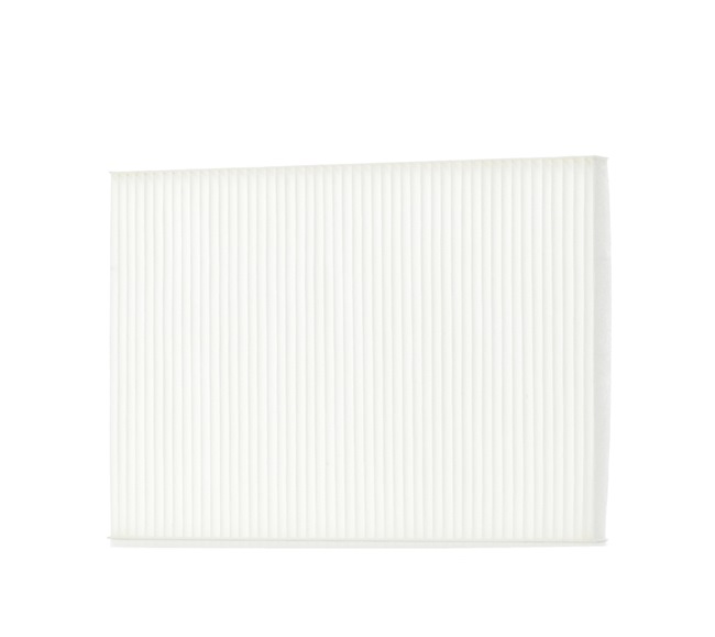 424I0429 Filtre d'habitacle RIDEX Renault prix