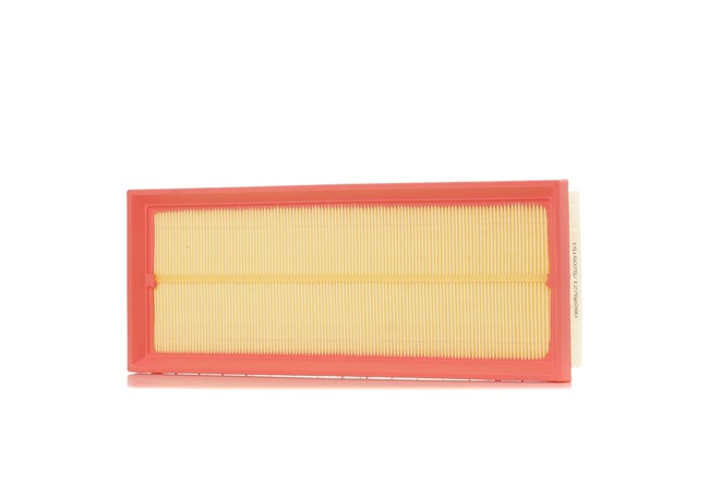 DS RIDEX Luchtfilter van de motor 8A0689