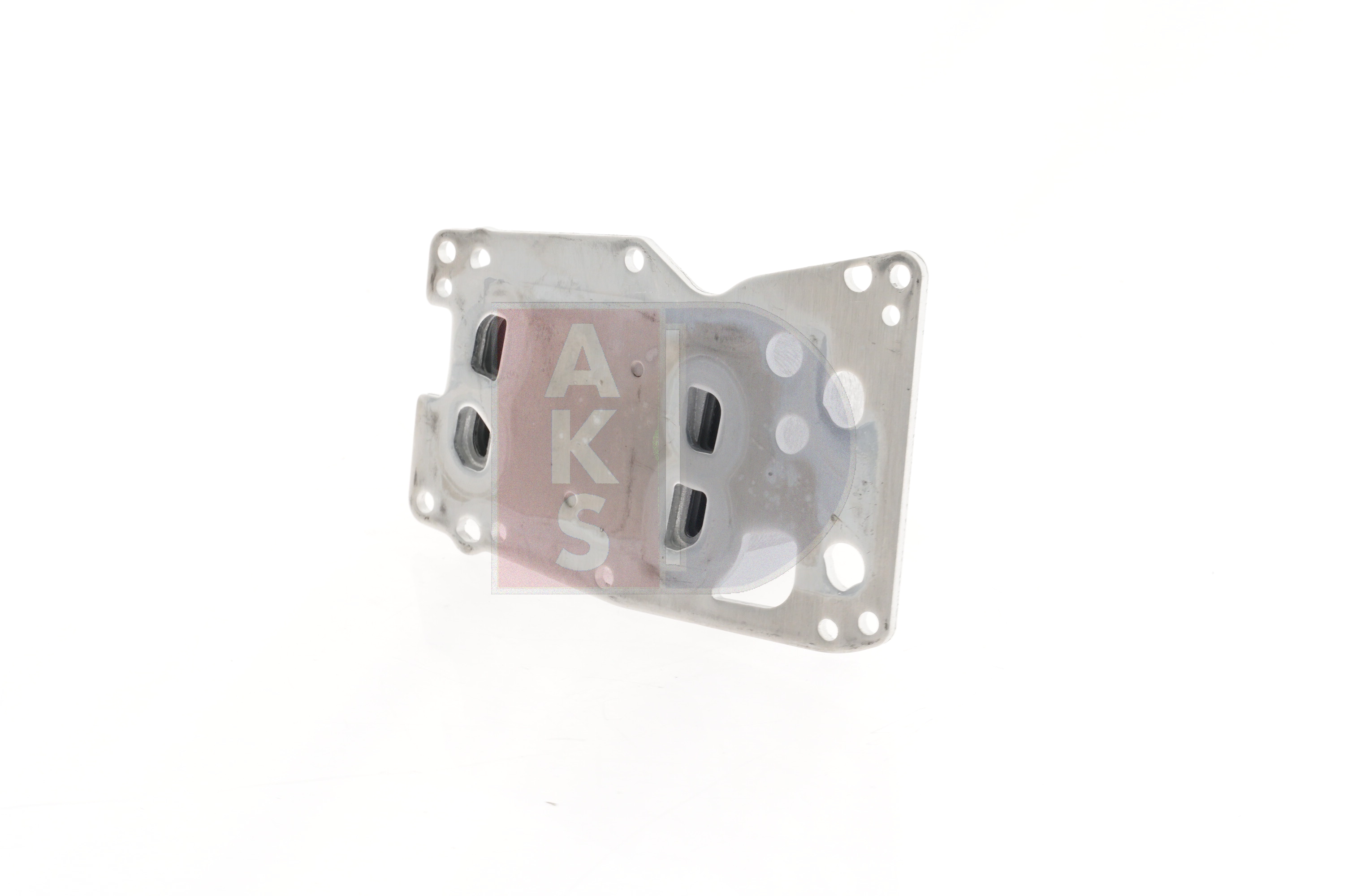 AKS DASIS 056064N Kühlmitteltemperatursensor 3.0 BiTurbo 350PS 2021