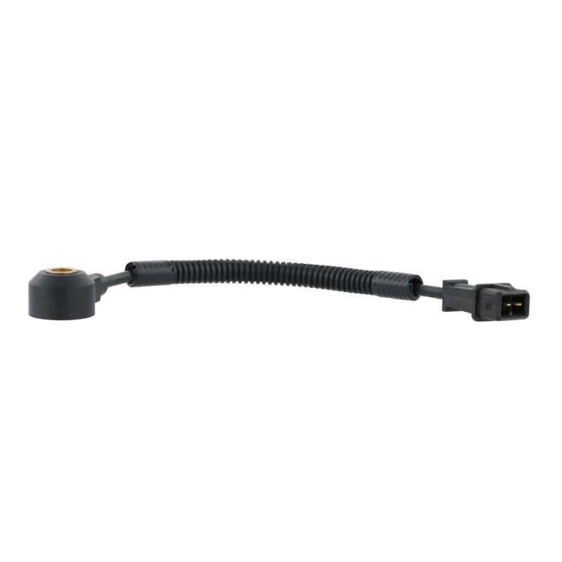 AS10221 DELPHI Klopsensor prijs