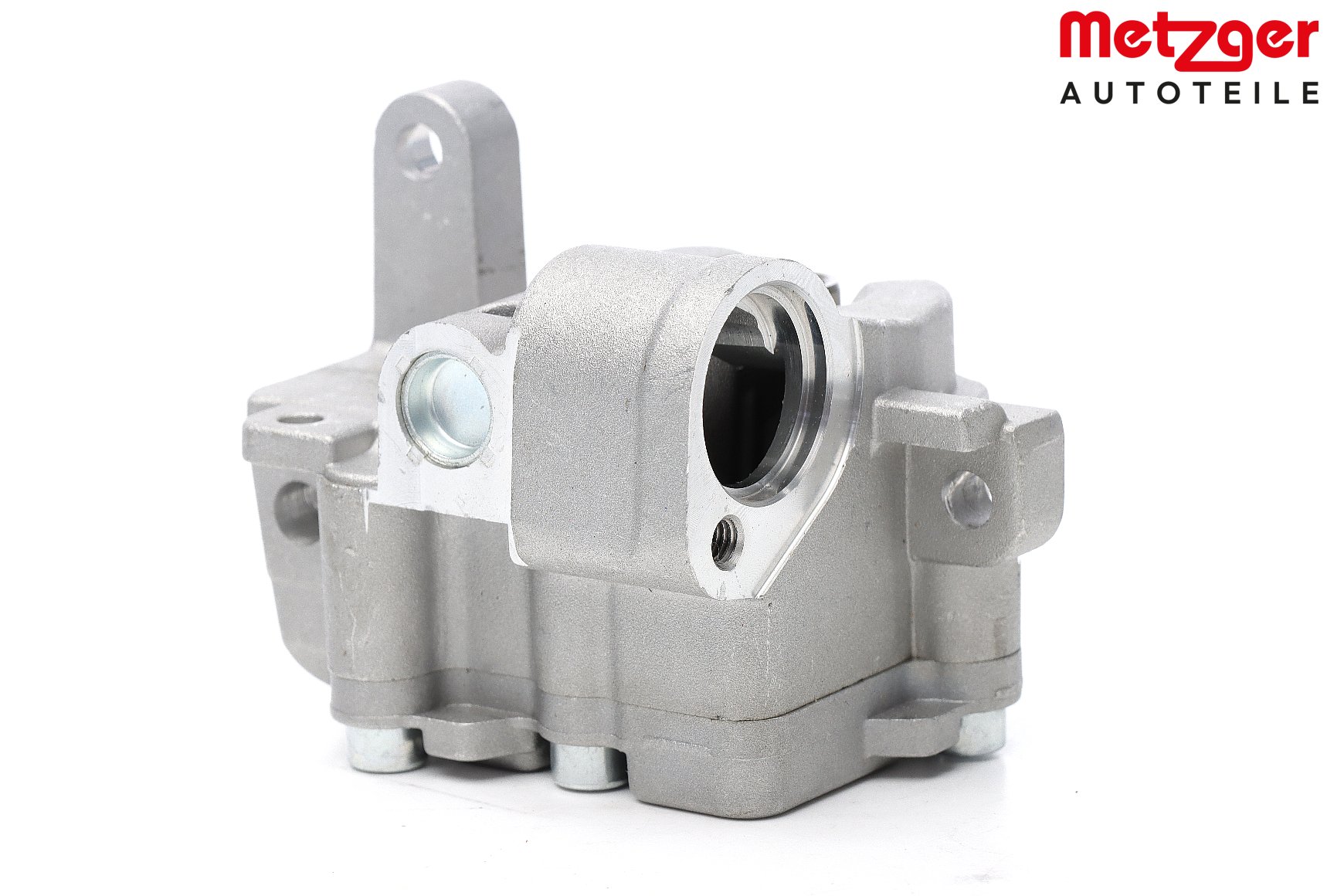 AUDI METZGER Pompa dell'olio motore 8000024