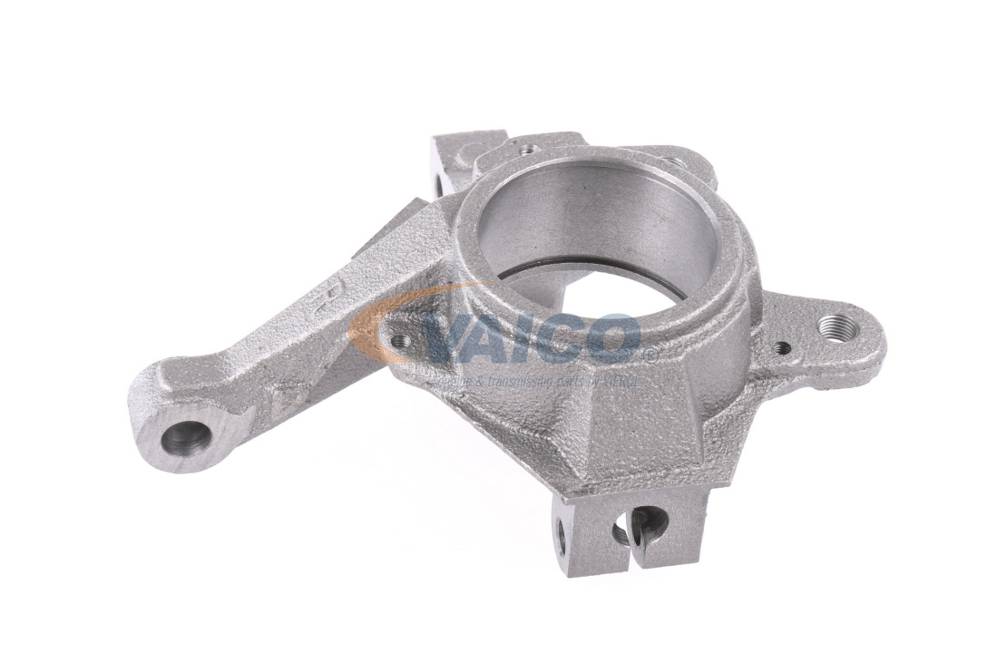 RENAULT VAICO Achszapfen V46-0958
