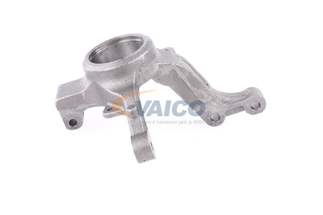 RENAULT VAICO Achszapfen V46-0969