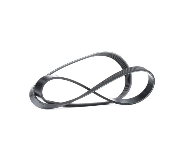 Comprar barato 4818101500 Correa poli V 1205mm, Número de nervaduras: 5 de JP GROUP 4723288, 1340635, 1340658, 1340635, 1340658