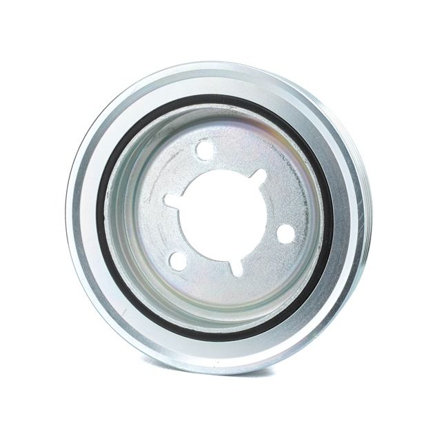 DAYCO DPV1029 Vevaxeldrev 1.6 VTi 115 hk NFP (EC5)