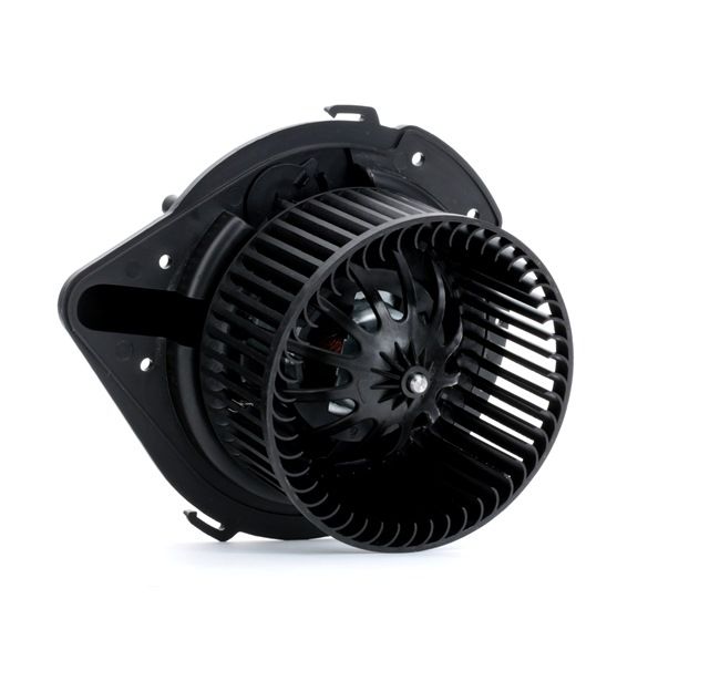 RIDEX 2669I0103 Innenraumgebläse Passat 3B5 2.8 V6 180 PS AGE