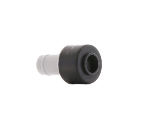 AUDI RIDEX Ventil Veivhusventilasjon 3886V0004