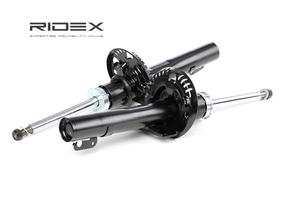 RIDEX 854S1248 Stoßdämpfer Renault Scenic 1 1.6 (JA00, JA16, JA15, JA19, JA1V, JA2B, JA2C, JA0B,... 107 PS